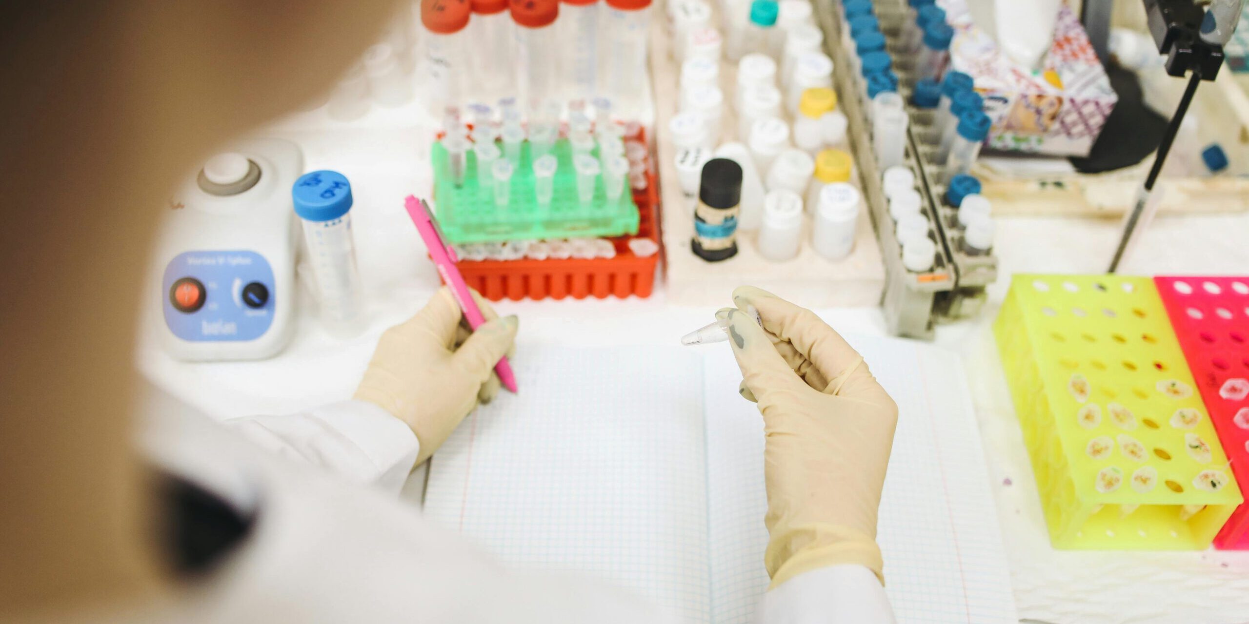 pexels-polina-tankilevitch-3735781(1)